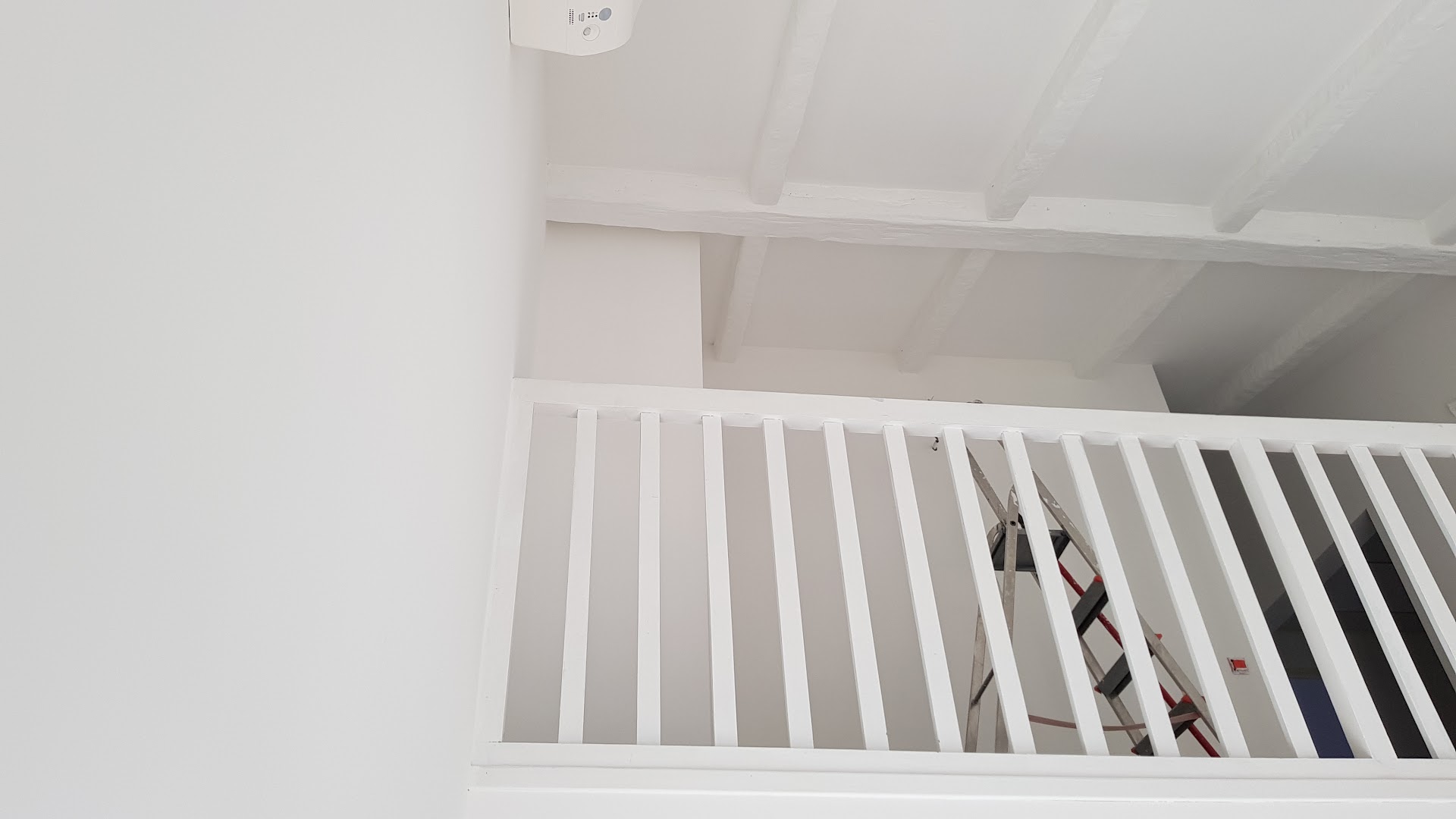 RENOPRO — Photos 6